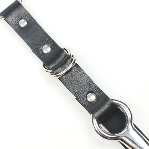 EverydayUse Kinky Hook Anal 5853 Collar and Leash with 0107